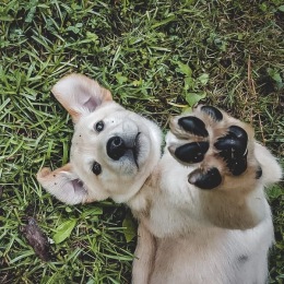 Instagram post from @havenatmansfield on May 02, 2025 00:00:00am